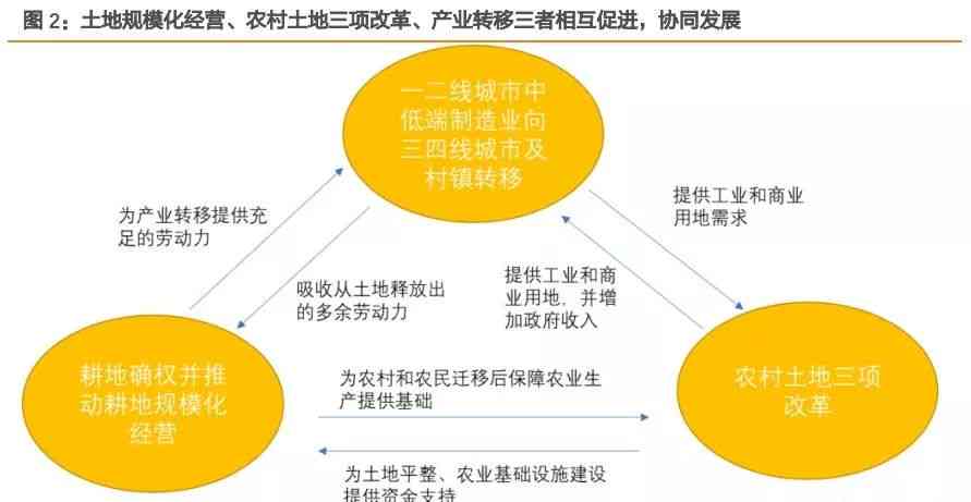 乡村振兴战略实施与农民增收渠道拓展的策略研究