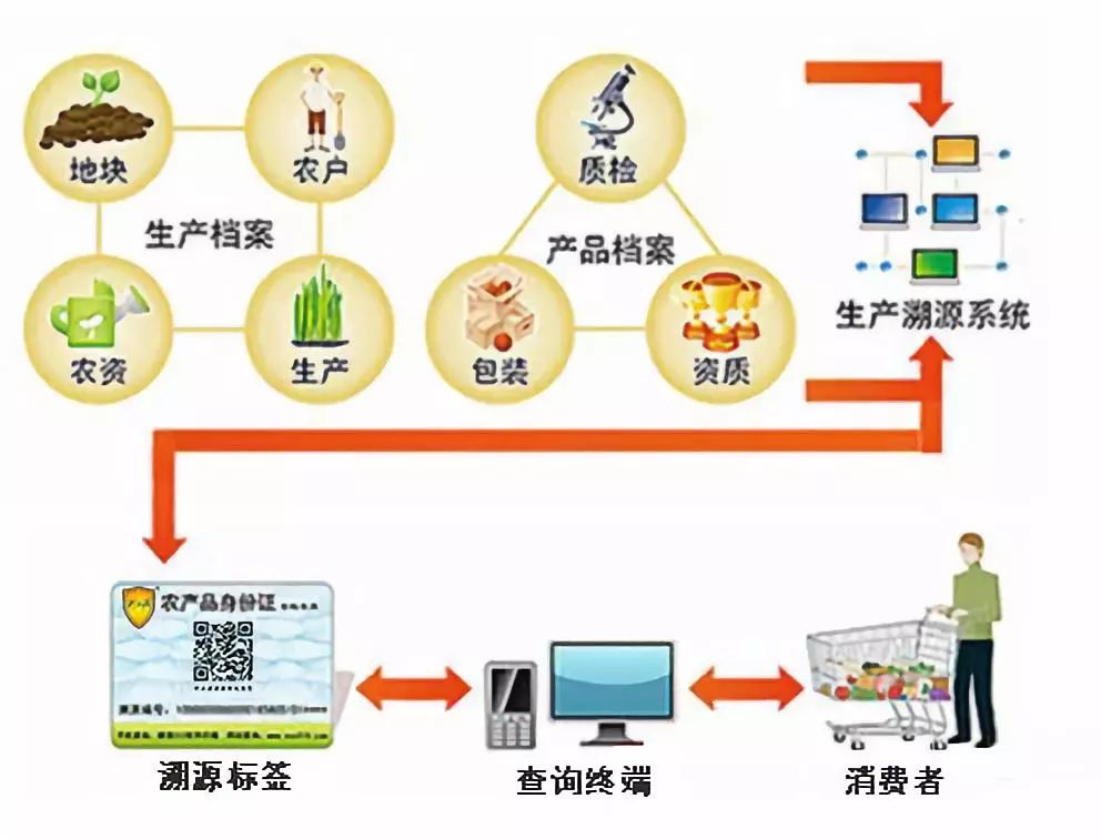 食品可追溯体系推广与企业责任落实的重要性