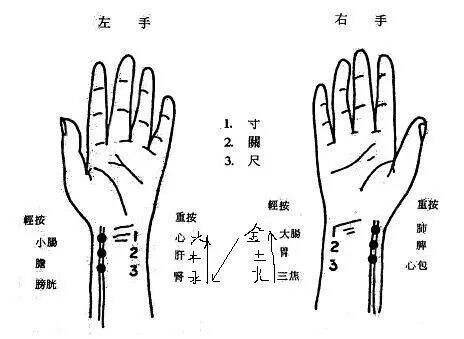 中医养生之脉诊与健康预警的奥秘