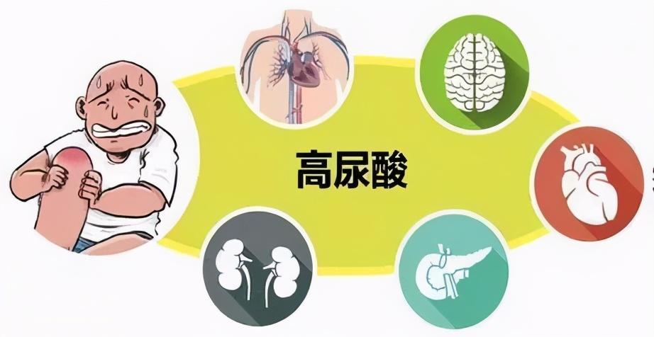 中医预防高血脂的策略与实践