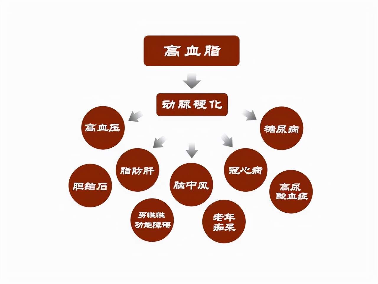 新闻资讯 第181页