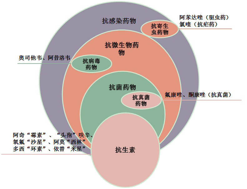 新型抗生素研发，为抗击细菌性疾病带来新希望