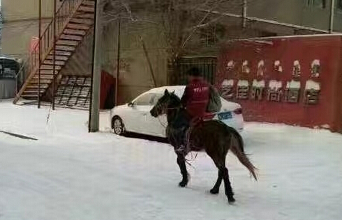 东北人雪后骑马出行，传统与坚韧并存的生活风采