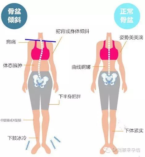 食疗助力提升生育力