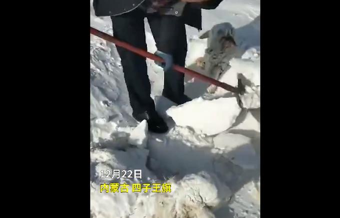 奇迹背后的故事，东北小孩大雪后挖出三室一厅的奇迹之旅