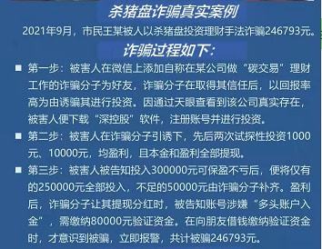 网上金融投资诈骗的防范策略与应对策略