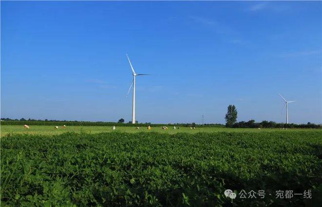 极端天气频发对农业的影响分析