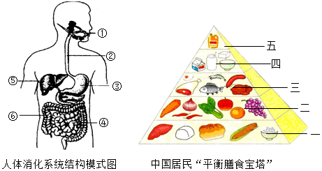 健康饮食结构助力青少年预防营养失衡的秘诀