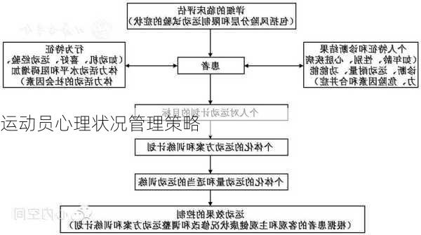 运动心理学在竞技体育中的关键作用与影响