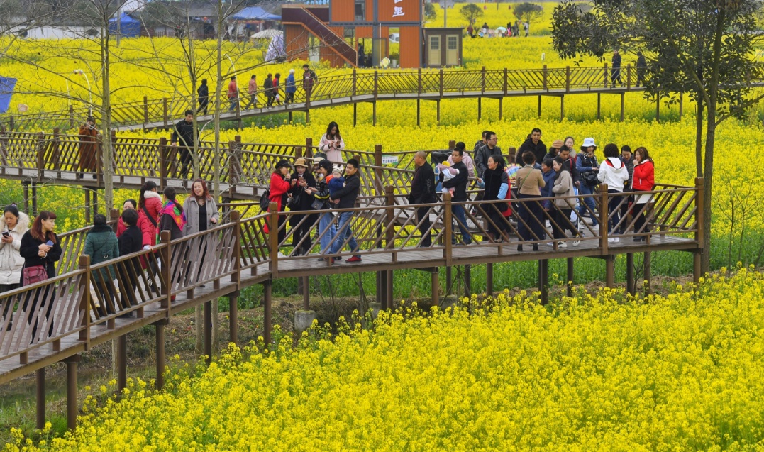 多地推行乡村游，激活农村经济新活力