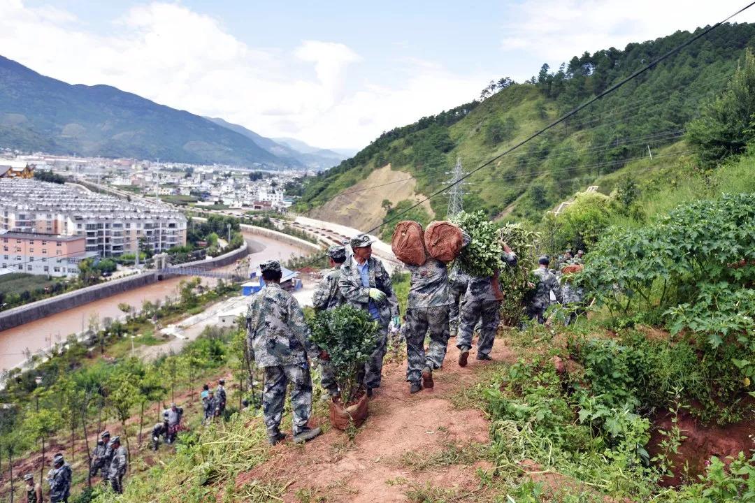 环境法实施中的企业责任与法律义务探究