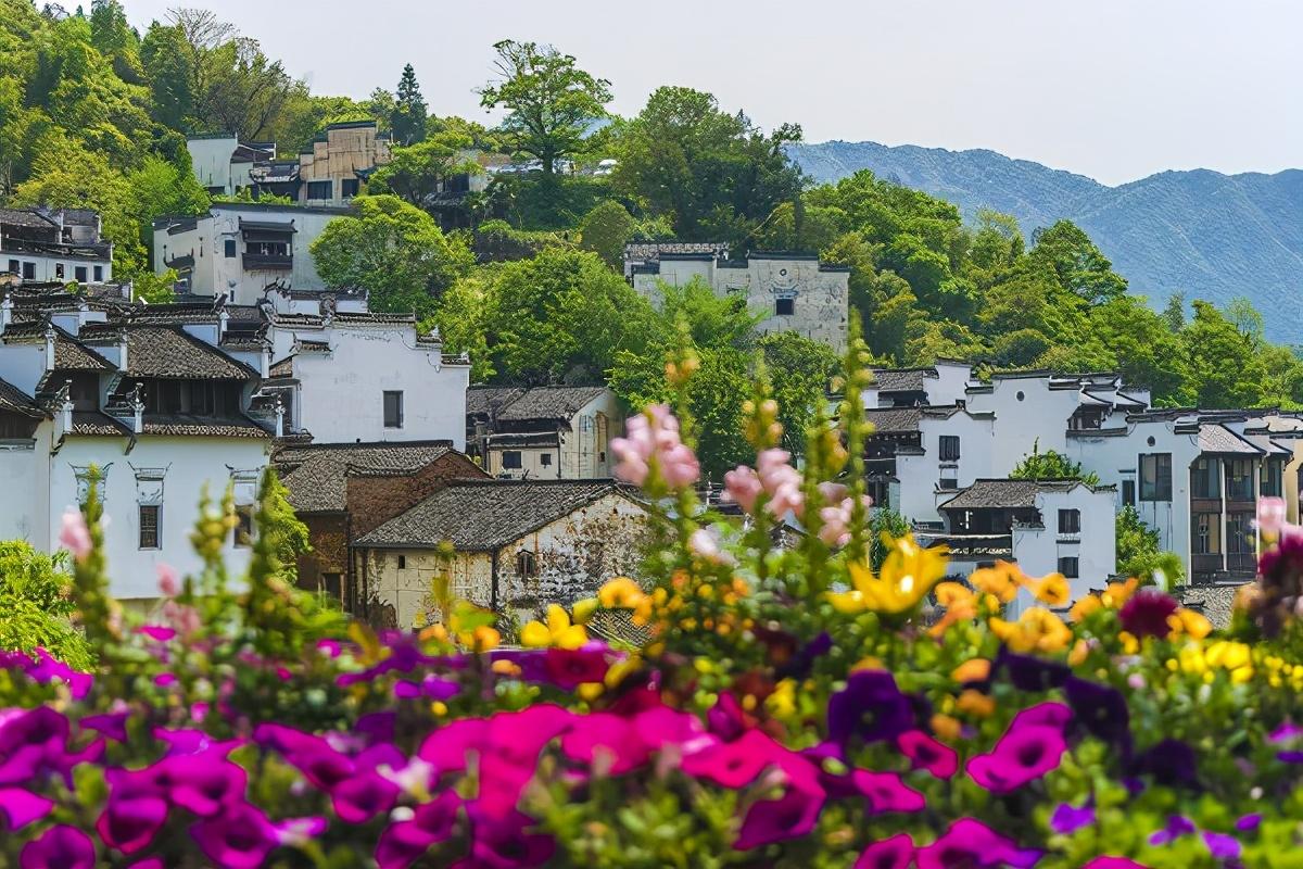 乡村生态旅游发展与环境保护的平衡之道，探索与实践