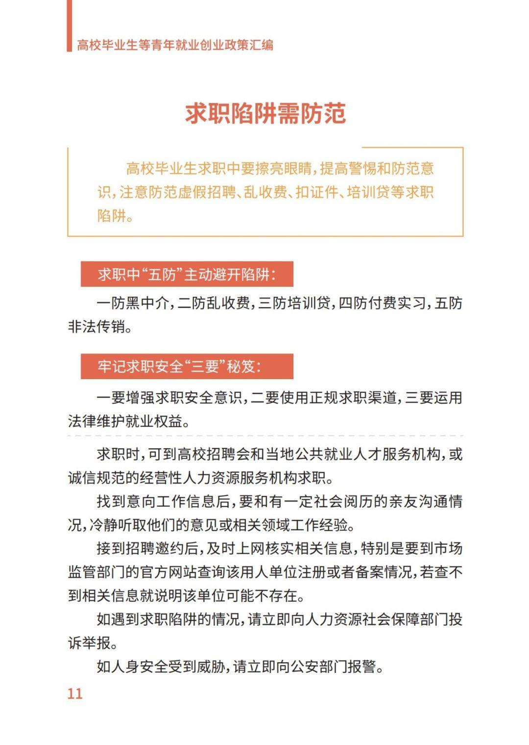 多地政策扶持青年就业创业，推动未来社会发展的关键行动