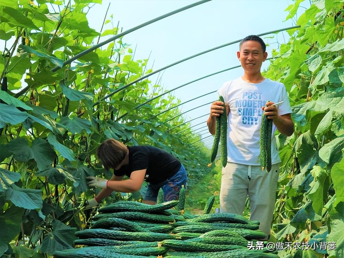 蔬菜储存时的最佳湿度范围