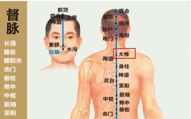 中医经络理论与日常按摩应用方法详解