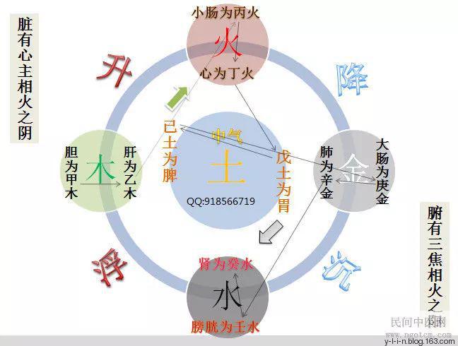 中医五行理论指导下的饮食健康与平衡之道