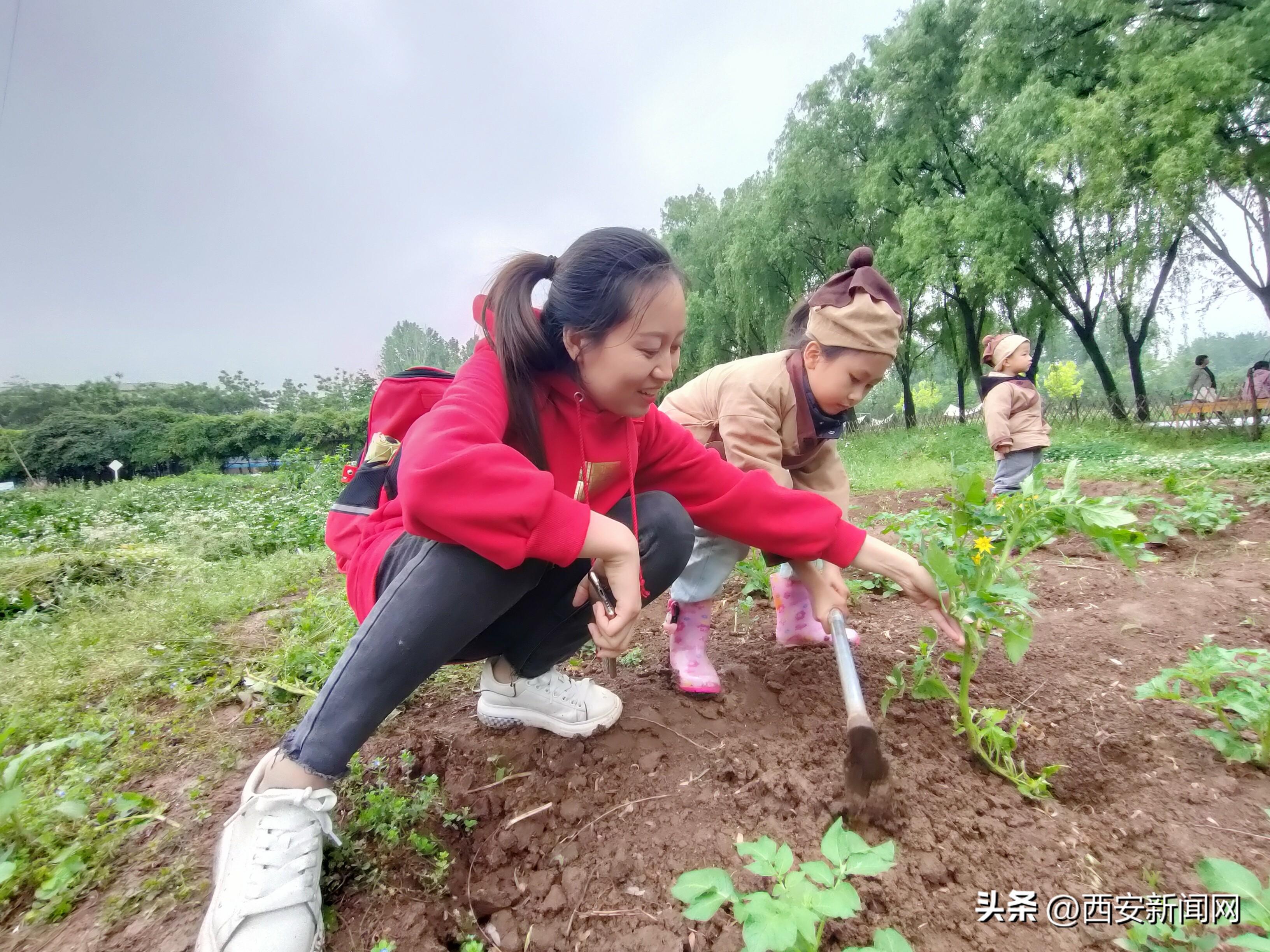 共享经济对劳动市场的深度影响分析