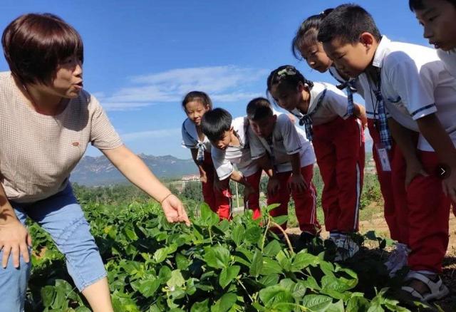 多元文化教育对学生价值观的深度影响与变革